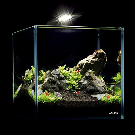 Світлодіодний світильник AquaLighter Nano (для акваріуму до 25л) 6500К купити KITIPES.COM.UA