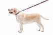 Повідець для собак нейлоновий WAUDOG Nylon, малюнок "Літо"