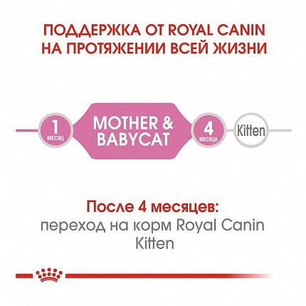 Royal Canin Mother and Babycat Корм для кошенят від 1 до 4 місяців купити KITIPES.COM.UA