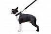 Dog Extremе Повідець для собак з нейлону подвійний, довжина 122 см