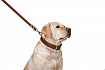 COLLAR - Повідець для собак подвійний з прошивкою
