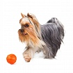 LIKER (Лайкер) М'ячик-іграшка для собак