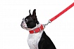 Dog Extremе Повідець для собак з нейлону подвійний, довжина 122 см