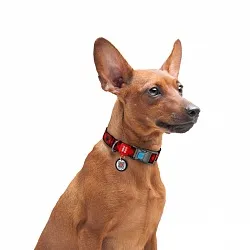 Ошейник для собак нейлоновый WAUDOG Nylon с QR, "Шотландка красная", пластиковый фастекс