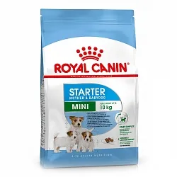 Royal Canin Mini Starter Сухий корм для собак дрібних порід в період вагітності і лактації