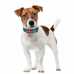 Ошейник для собак нейлоновый WAUDOG Nylon с QR-паспортом, рисунок "Патрон", пластиковый фастекс