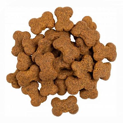 Savory Puppy Crunchy Snacks Ласощі для цуценят з ягням та обліпихою купити KITIPES.COM.UA