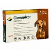 Simparica (Сімпаріка 5 - 10 кг) Таблетки від бліх і кліщів для собак вагою від 5 до 10 кг