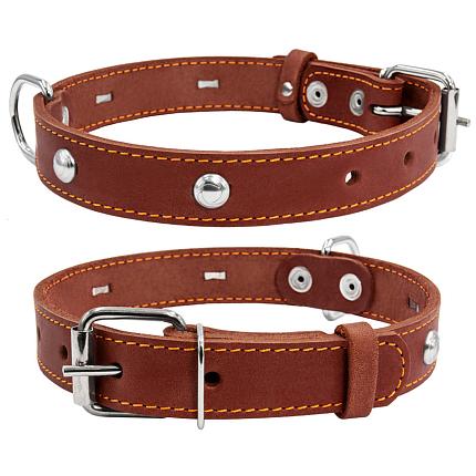 COLLAR - Нашийник для собак одинарний з прикрасами купити KITIPES.COM.UA