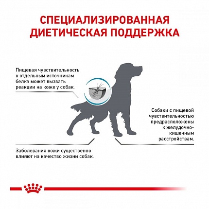 Royal Canin Hypoallergenic Dog Лікувальний корм для собак на kitipes.com.ua