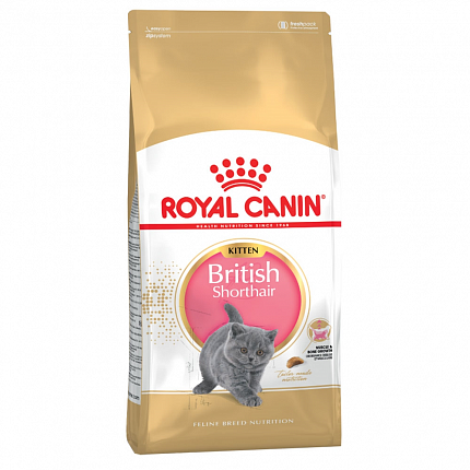 Royal Canin British Shorthair Kitten Корм для кошенят породи британська короткошерста купити KITIPES.COM.UA