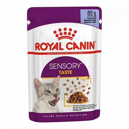 Royal Canin Sensory Taste Jelly Консерви для котів вибагливих до смаку їжі в желе купити KITIPES.COM.UA