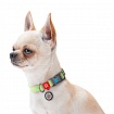 Нашийник для собак із відновленої бавовни WAUDOG Re-cotton з QR паспортом, світловідбиваючий, пластиковий фастекс, Ш 25 мм