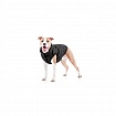 Курточка для собак AiryVest ONE Collar(Коллар) 