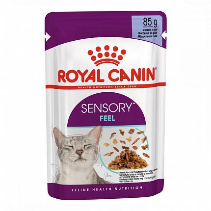 Royal Canin Sensory Feel Jelly Консерви для котів які стимулюють тактильні рецептори ротової порожнини в желе купити KITIPES.COM.UA