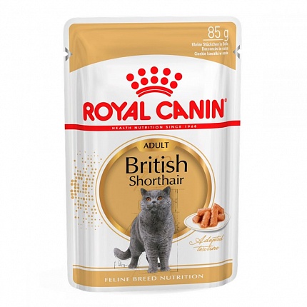 Консерви Royal Canin British Shorthair для дорослих котів британської породи купити KITIPES.COM.UA