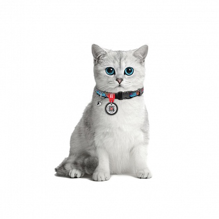 Нашийник для котів нейлоновий WAUDOG Nylon, "Літо", пластиковий фастекс купити KITIPES.COM.UA