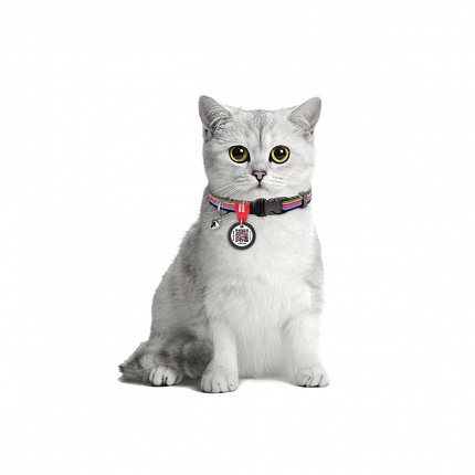 Нашийник для котів нейлоновий WAUDOG Nylon, "Лінія 1", пластиковий фастекс купити KITIPES.COM.UA