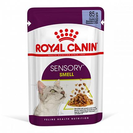 Royal Canin Sensory Smell Jelly Консерви для котів вибагливих до аромату в желе купити KITIPES.COM.UA