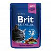 Brit Premium Консерви для котів шматочки в соусі з куркою та індчикою 