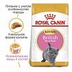 Royal Canin British Shorthair Kitten Корм для кошенят породи британська короткошерста