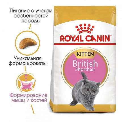 Royal Canin British Shorthair Kitten Корм для кошенят породи британська короткошерста купити KITIPES.COM.UA