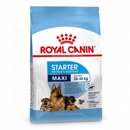 Royal Canin Maxi Starter Сухий корм для вагітних, годуючих сук і цуценят великих порід купити KITIPES.COM.UA