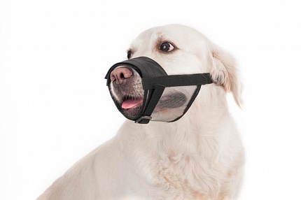 Dog Extremе Намордник з нейлону регульований з сіткою купити KITIPES.COM.UA