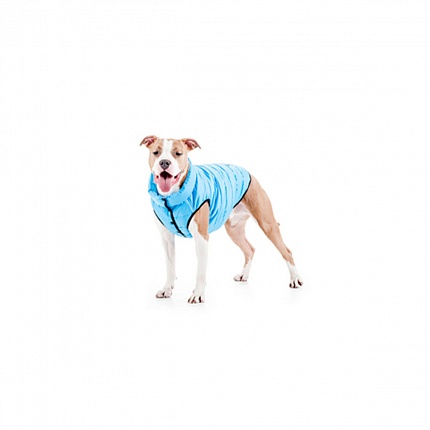 Курточка для собак AiryVest ONE Collar(Коллар)  купити KITIPES.COM.UA