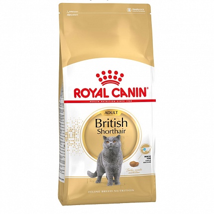 Royal Canin Adult British Shorthair для дорослих кішок породи Британська короткошерстна купити KITIPES.COM.UA