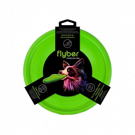 Літаюча тарілка FLYBER (Флайбер), діаметр 22 см, салатова купити KITIPES.COM.UA