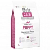 Brit Care Беззерновий корм для цуценят з лососем і картоплею | Puppy Salmon and Potato 