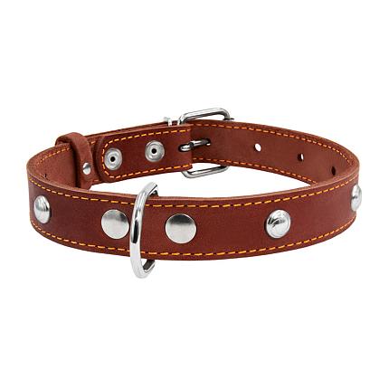 COLLAR - Нашийник для собак одинарний з прикрасами купити KITIPES.COM.UA