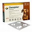 Simparica (Сімпаріка 5 - 10 кг) Таблетки від бліх і кліщів для собак вагою від 5 до 10 кг