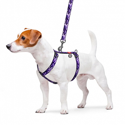 Шлея для собак анатомічна H-образна WAUDOG Nylon з QR-паспортом, малюнок  "Фіолетовий камо", пластиковий фастекс купити KITIPES.COM.UA
