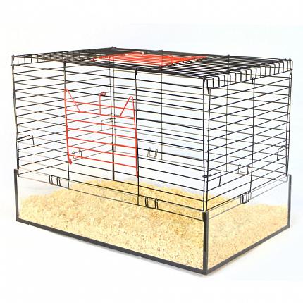 Клітка для гризунів Лорі "Кролик Glass-55", 55х35х35 см, цинк купити KITIPES.COM.UA
