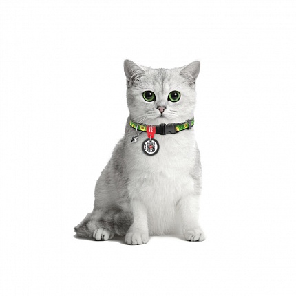 Нашийник для котів нейлоновий WAUDOG Nylon, "Авокадо", пластиковий фастекс купити KITIPES.COM.UA