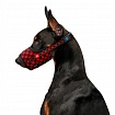 Намордник для собак WAUDOG Nylon, малюнок "Шотландка червона", пластиковий фастекс
