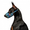 Намордник для собак WAUDOG Nylon, малюнок "ВАУ", пластиковий фастекс