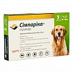 Simparica (Сімпаріка 20 до 40 кг) Таблетки від бліх і кліщів для собак вагою від 20 до 40 кг, 80 мг