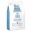 Brit Care Беззерновий корм для молодих собак великих порід з лососем і картоплею | Junior Large Breed Salmon and Potato