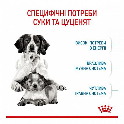 Royal Canin Medium Starter для собак середніх порід в період вагітності і лактації купити KITIPES.COM.UA