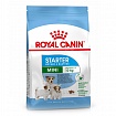 Royal Canin Mini Starter Сухий корм для собак дрібних порід в період вагітності і лактації