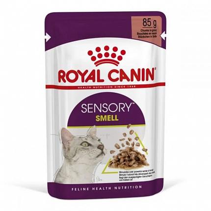 Royal Canin Sensory Smell Gravy Консерви для котів вибагливих до аромату купити KITIPES.COM.UA