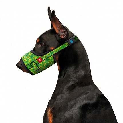 Намордник для собак WAUDOG Nylon, малюнок "Авокадо", пластиковий фастекс купити KITIPES.COM.UA