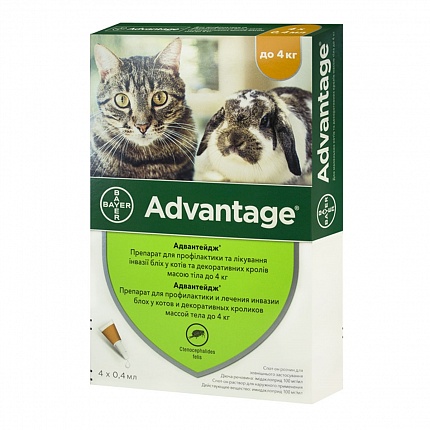 Advantage Краплі на холку від бліх для котів та гризунів до 4 кг купити KITIPES.COM.UA
