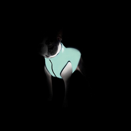 Курточка для собак AiryVest Lumi двостороння, світиться в темряві на kitipes.com.ua