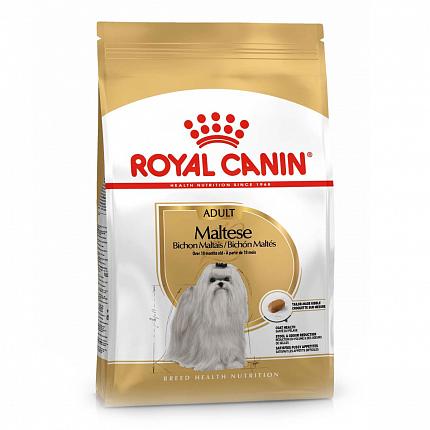 Royal Canin Maltese Сухий корм для собак породи мальтійська болонка купити KITIPES.COM.UA