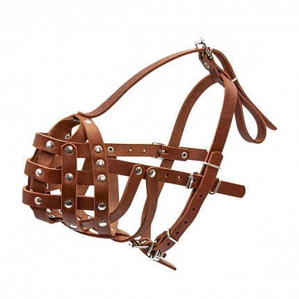 COLLAR - Намордник твердий для собак купити KITIPES.COM.UA