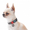 Нашийник для собак із відновленої бавовни WAUDOG Re-cotton з QR паспортом, світловідбиваючий, пластиковий фастекс, Ш 25 мм